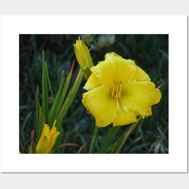 Day lily Wall Art by FriendlyComputerHelp